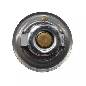 T188-T290 Thermostat 78°